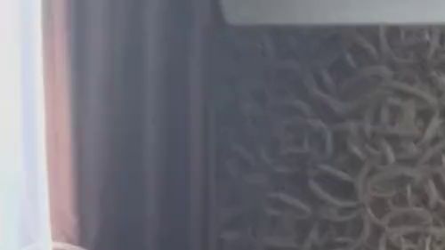 Ich habe mein Höschen nass gemacht