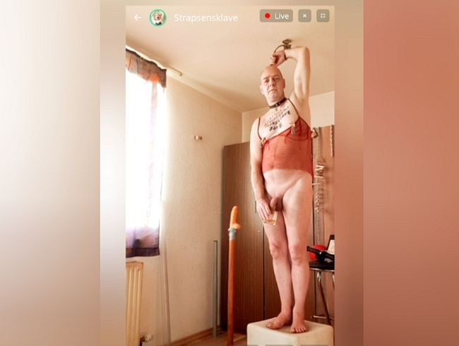 LIVE-Auschnitt vom 11. 11. 2025 neue Videos