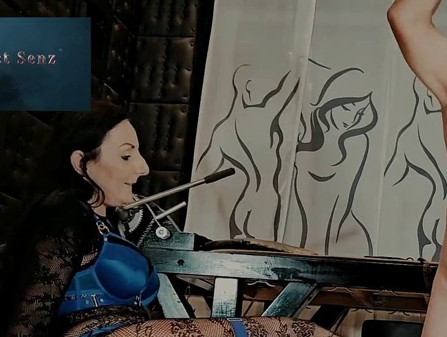 Mistress Luciana My Boots The Gimp His Nuts Footdomination Trampling Humiliation CBT BallBusting