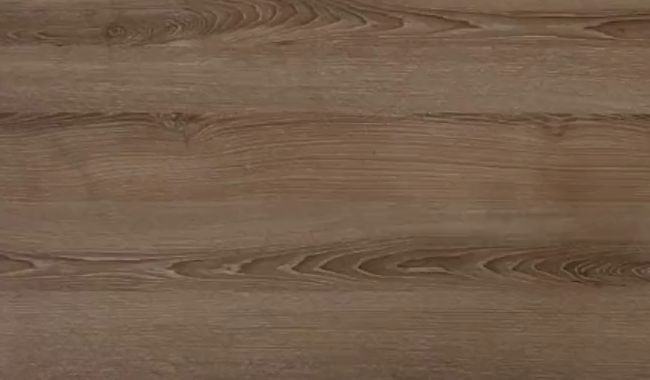 My first BDSM Session with a big dick