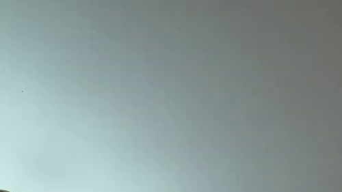 POV Femdom JOI – Ich setze mich auf dein Gesicht und zeige dir, wie du meine Muschi richtig leckst.