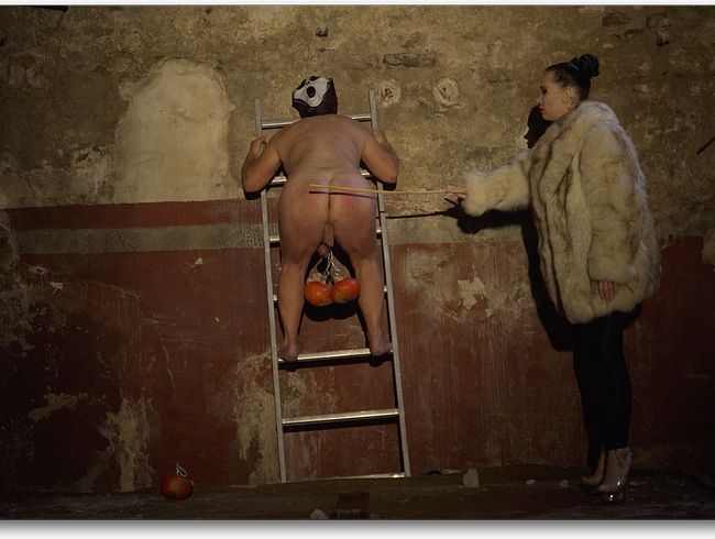 Peitsche und CBT auf Leiter