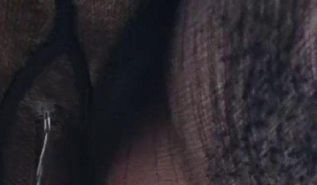 Pissen Pipi am Stand in Nylons beach Outdoor