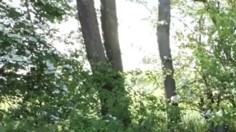 Schlendern in hautengen Materialmix Leggings – sie sitzt einfach perfekt