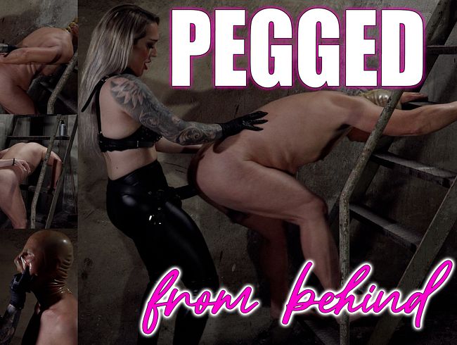 Von hinten gefickt