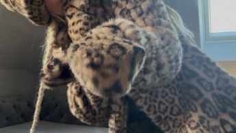 Miau – Leo Steffi will Spaß!