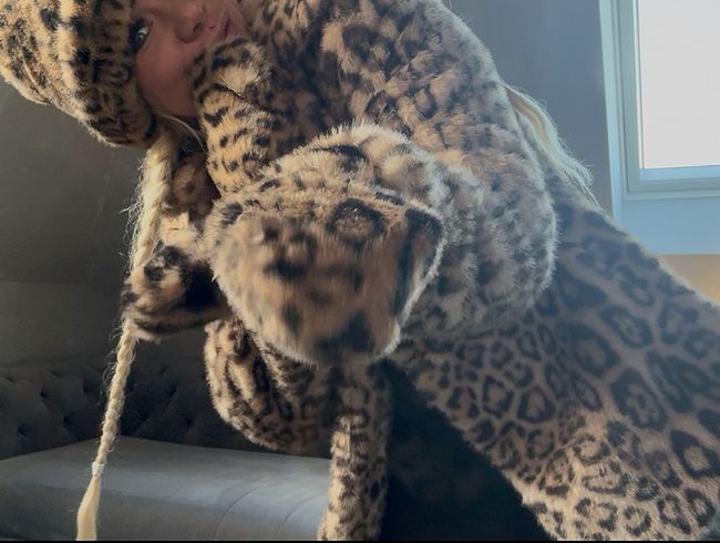 Miau – Leo Steffi will Spaß!