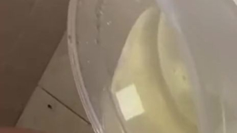 Mein Goldregen in einem Plastikbehälter