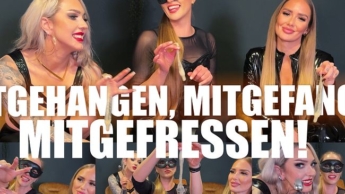 CEI – Mitgehangen, mitgefangen – mitgefressen.