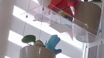 Du wirst zum Aschenbecher erzogen, von einer dominanten Lady in Leder Handschuhen