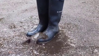Gummistiefel in Pfützen hüpfen – rubberboots dirty … du hast eine Vorliebe für Gummistiefel?