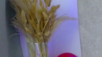 Komm und hol mir meine sexy Zöpfe