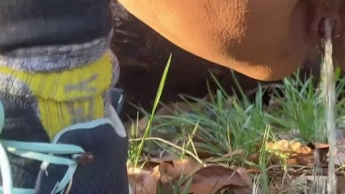 Schneller Outdoor Piss beim Waldspaziergang